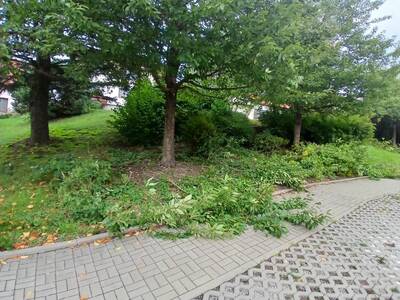 81aedf38-dd44-4377-9f89-8db4d992ff5f