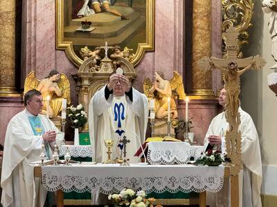 1338cd9b-e71b-4ed3-a6a1-9da06654efe6