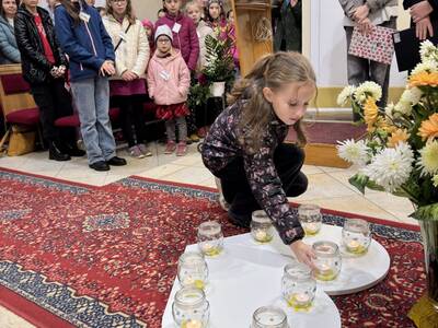 59c99528-7f19-4085-8e5d-9de8ccc199af