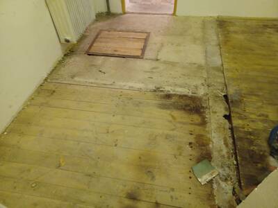 42539b9d-2d9b-4582-ad46-2b3c0423fac5