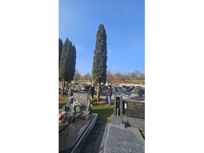 00b0f92b-265f-4d76-abaf-731fea41d0a6