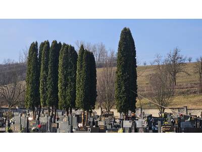 5d663bb6-e4a0-4f81-89e5-1f38734c166d