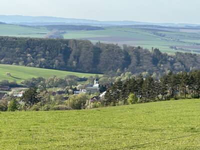 IMG_9264