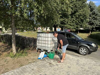 IMG_6952
