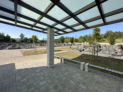 IMG_9905