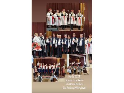 IMG_8653