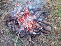 IMG_20151227_130052