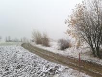IMG_20161112_075001