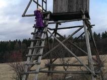 IMG_20161227_113327_1